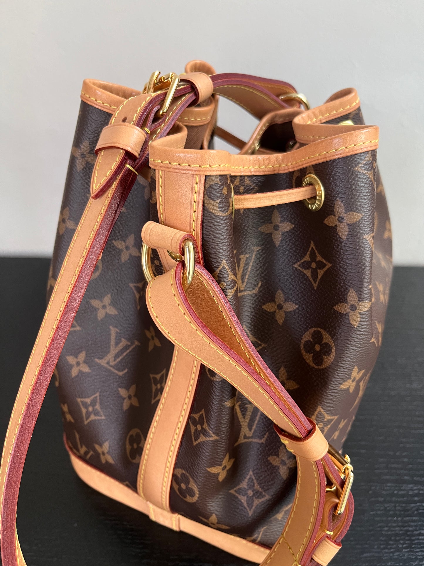 Louis Vuitton Petit Noe Monogram Bucket Bag