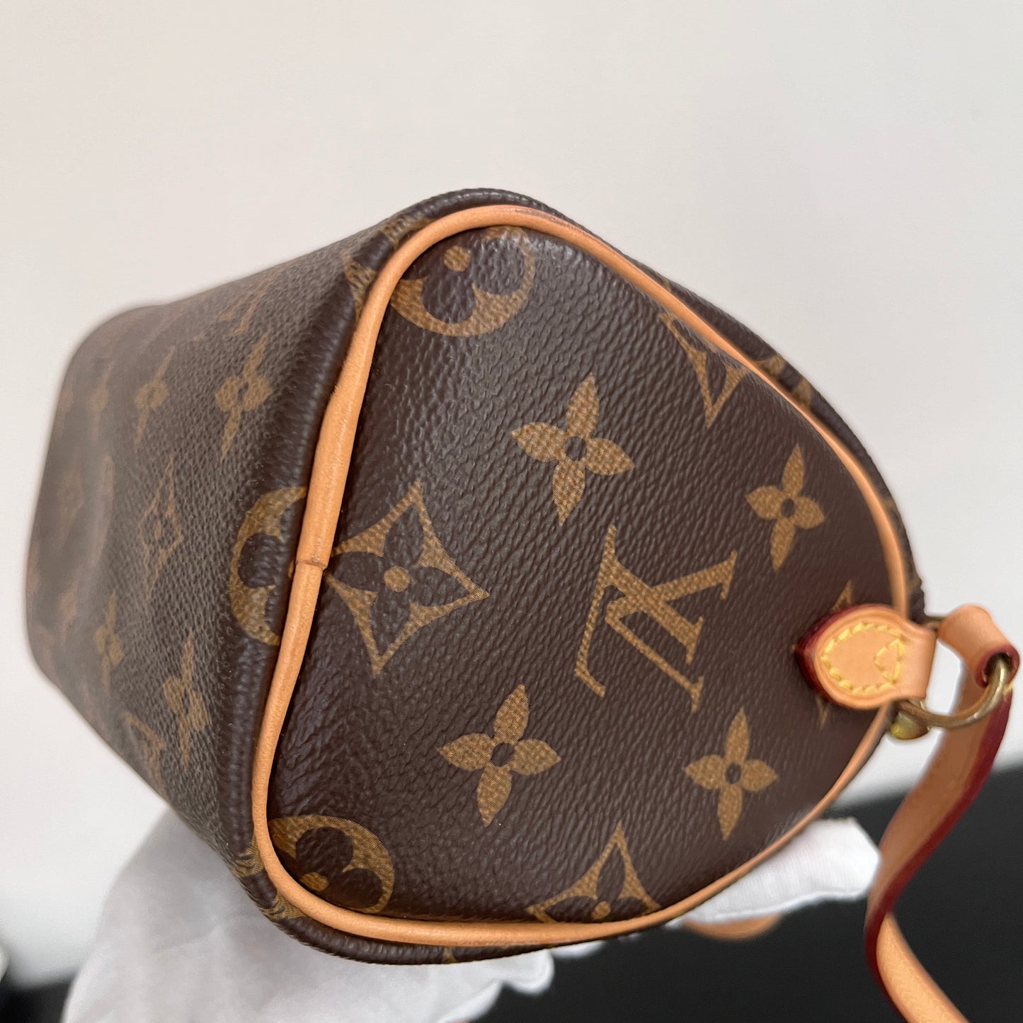 Louis Vuitton 2020 Nano Speedy Monogram Crossbody Bag