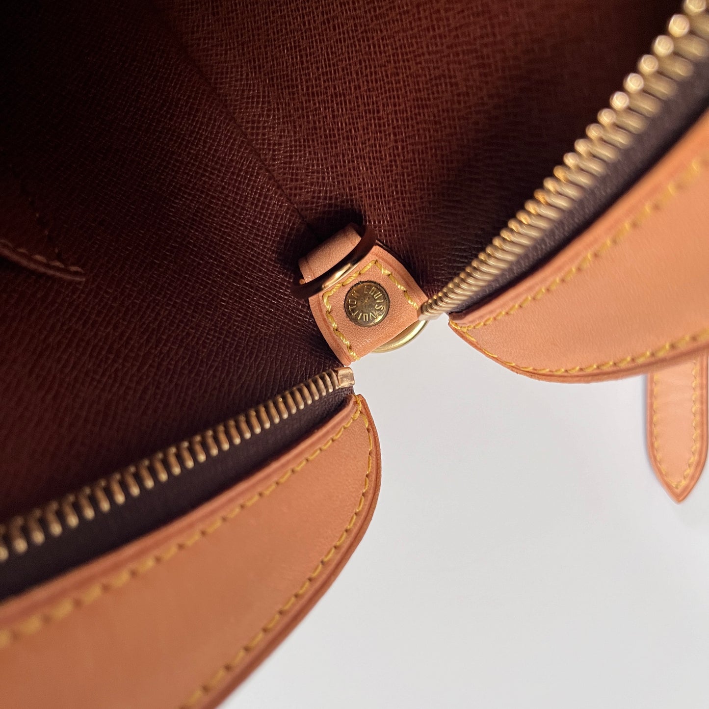 Louis Vuitton Monogram Drouot Crossbody Bag