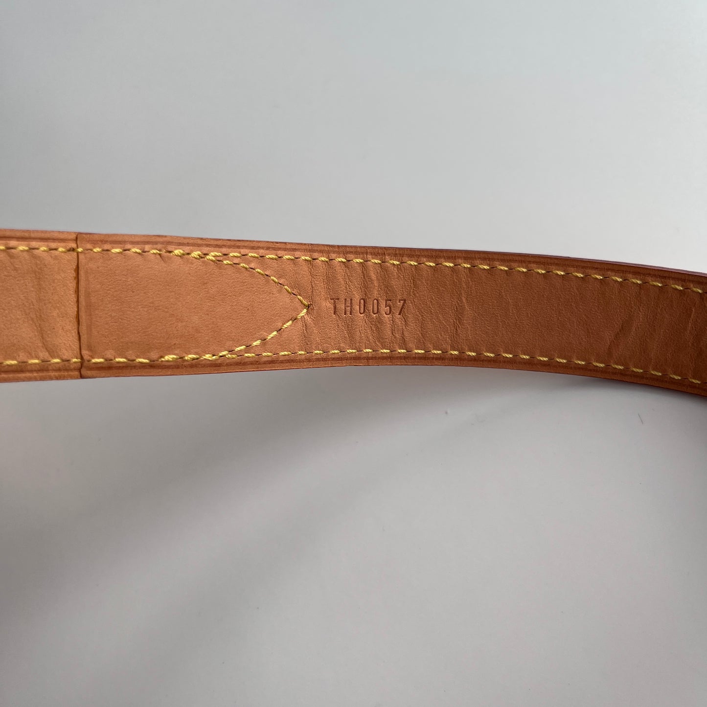 Louis Vuitton Viva Cite MM Crossbody Bag with 2 Straps