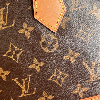 Louis Vuitton Alma BB Monogram Crossbody Bag