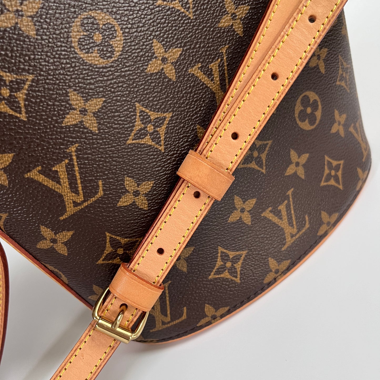 Louis Vuitton Monogram Drouot Crossbody Bag