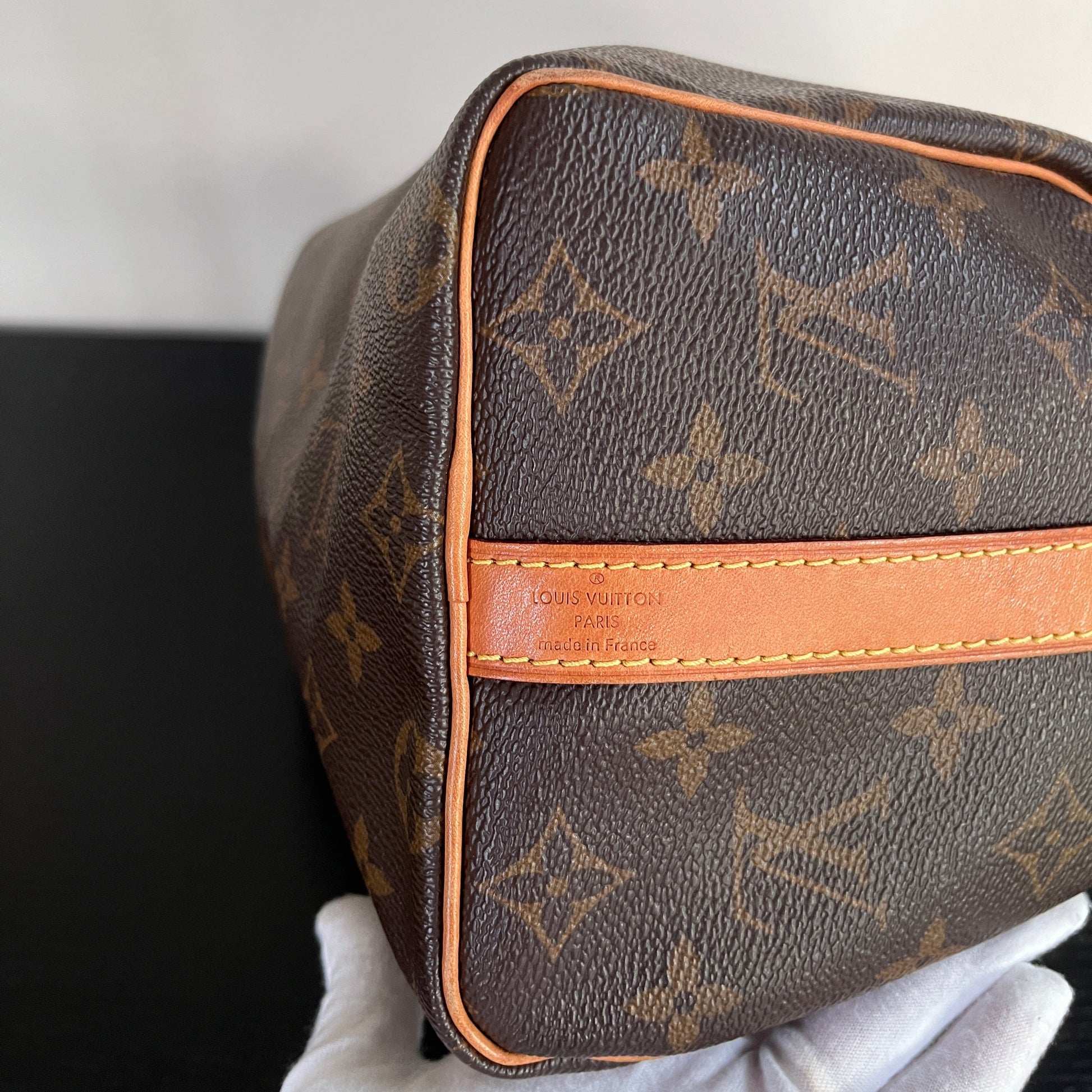 Louis Vuitton Speedy Bandoulière 25 Monogram