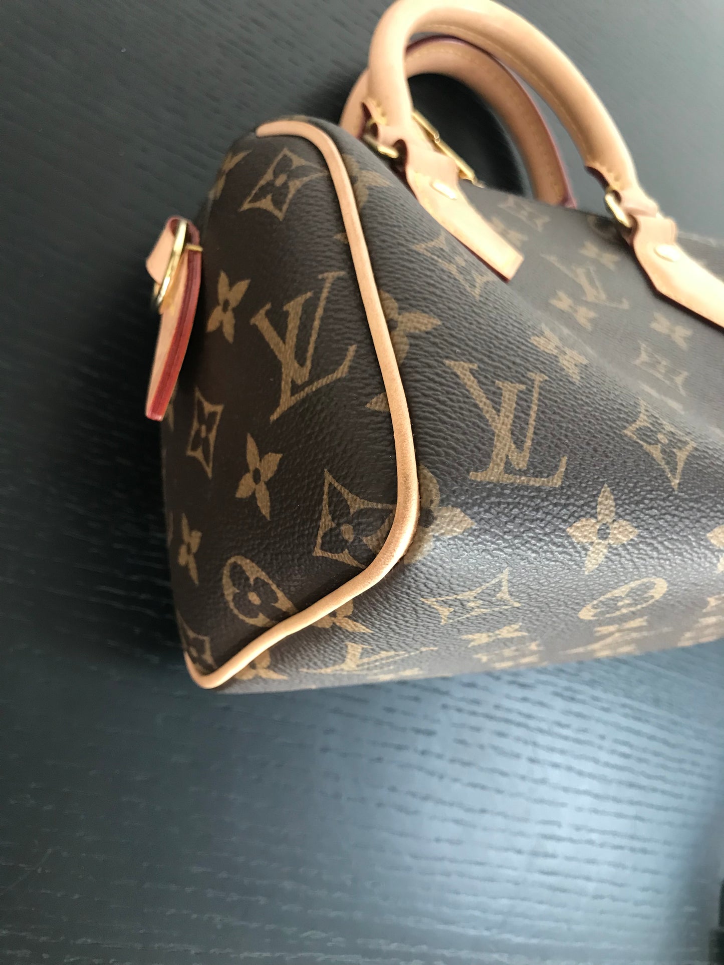 Louis Vuitton Speedy Bandoulière 20 Monogram