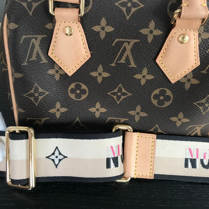 Louis Vuitton Speedy Bandoulière 20 Monogram