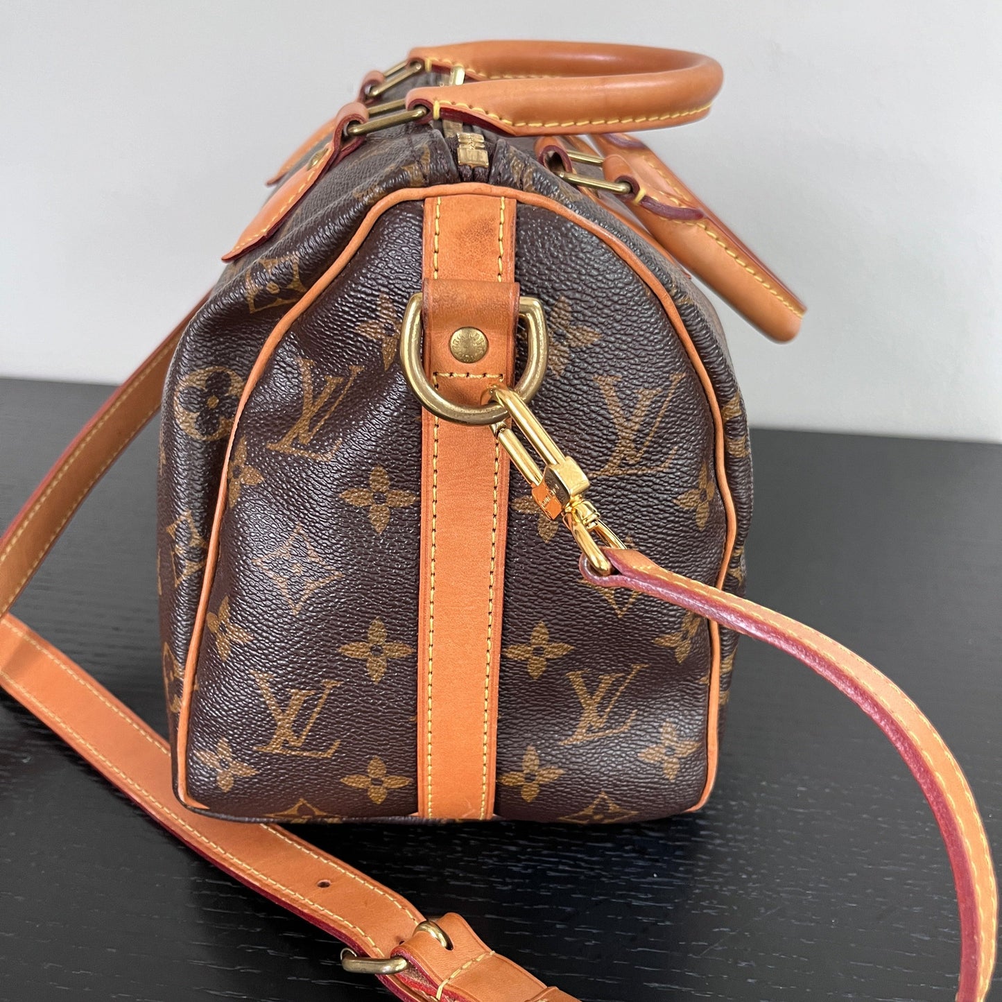 Louis Vuitton Speedy Bandoulière 25 Monogram