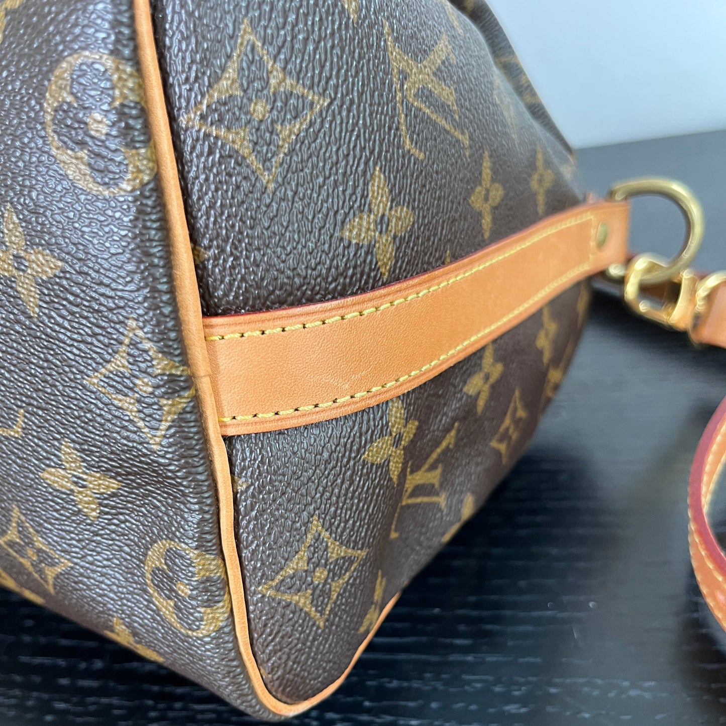 Louis Vuitton Speedy Bandoulière 25 Monogram