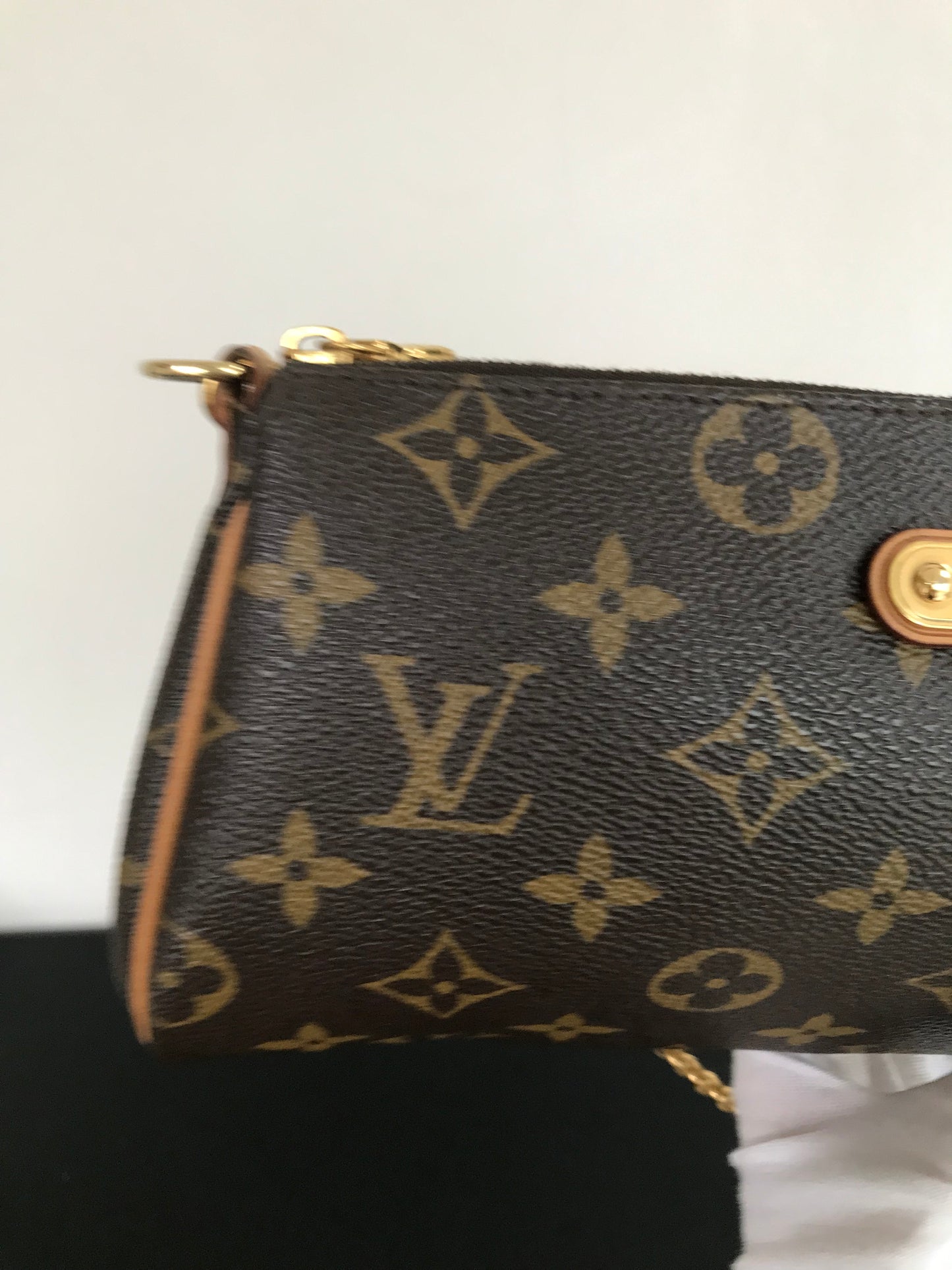 Louis Vuitton Eva PM Monogram NO LONG STRAP