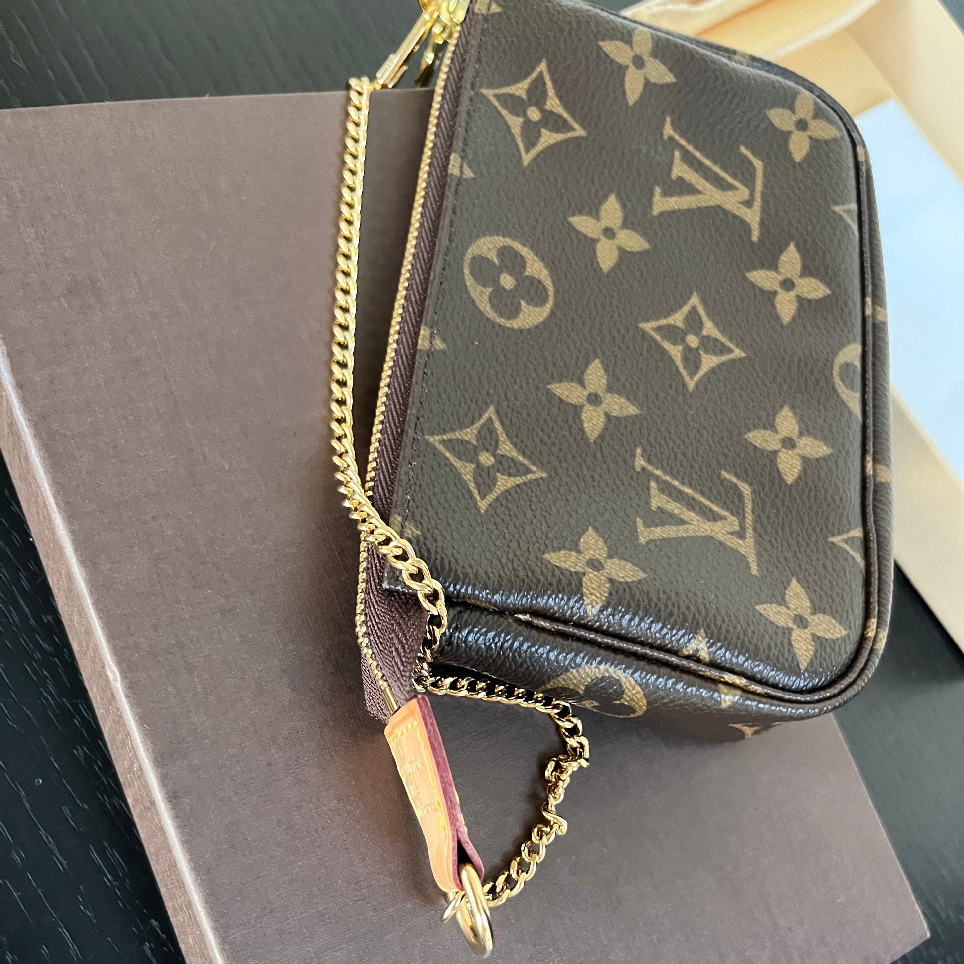 Louis Vuitton Monogram Mini Pochette Accessoires