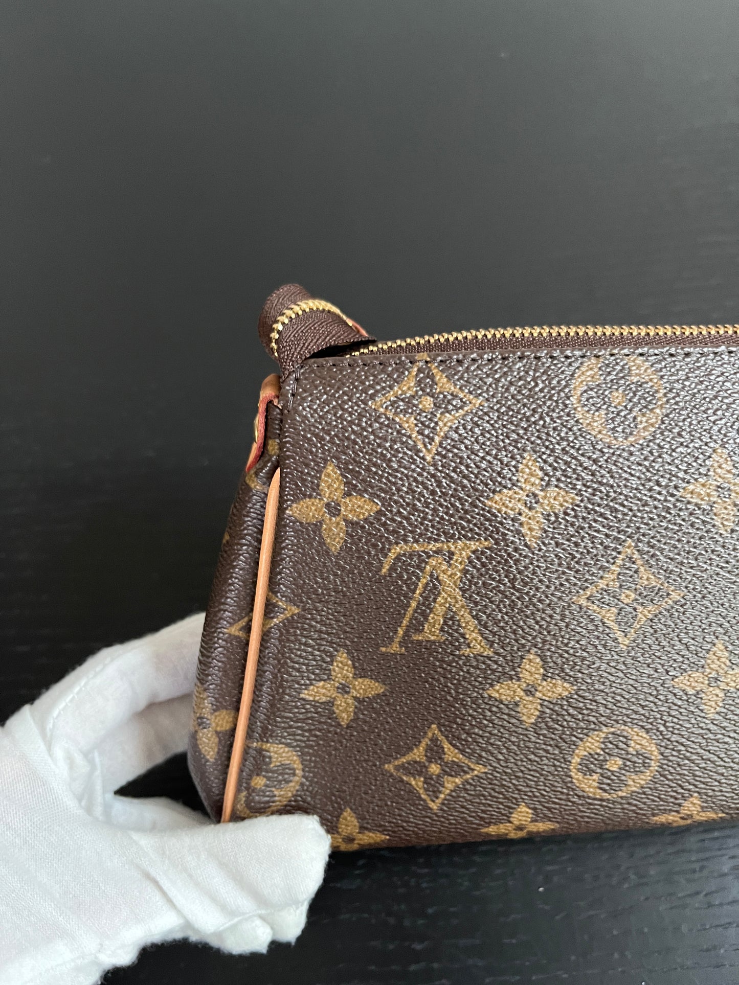 Louis Vuitton Eva PM Monogram