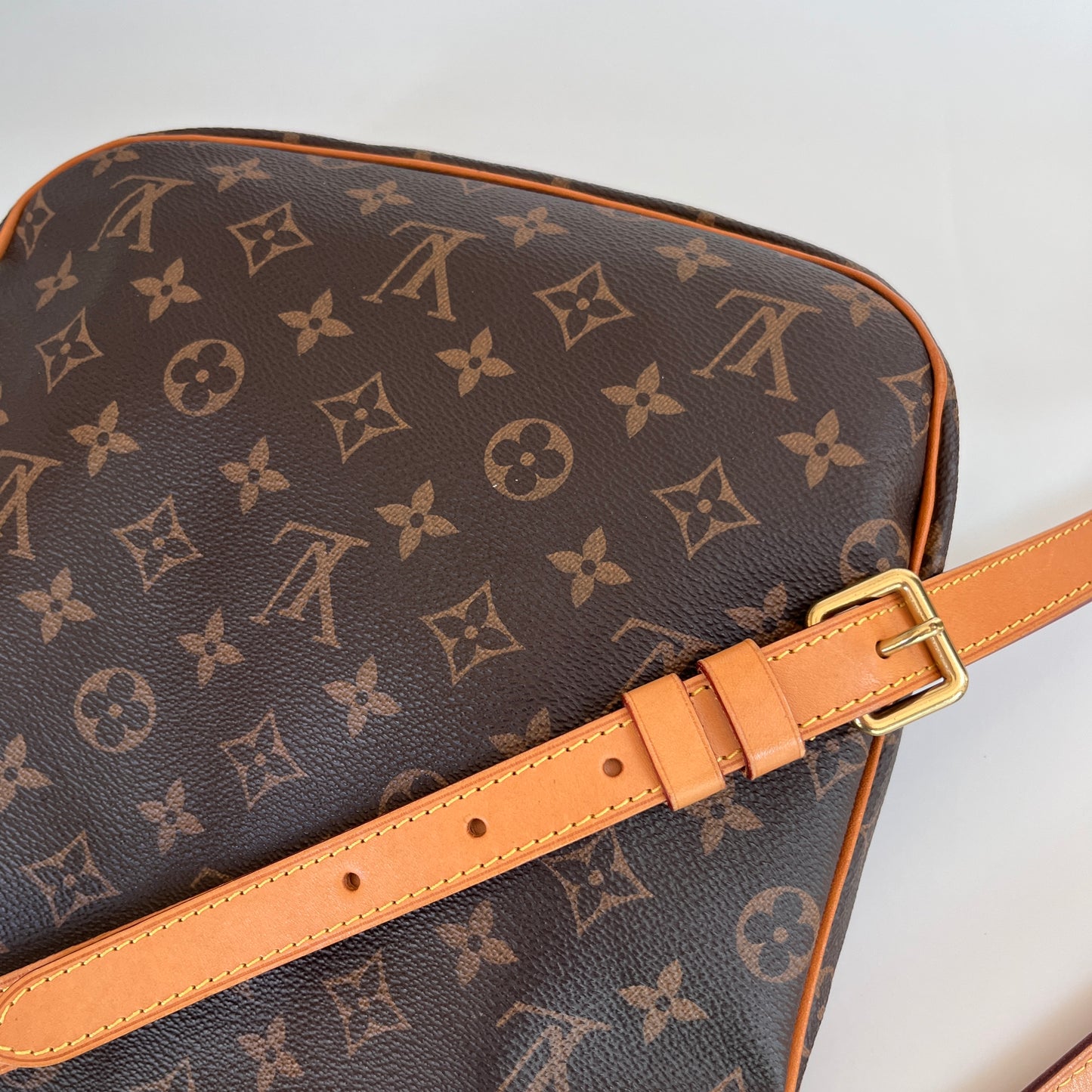 Louis Vuitton Old Odéon PM Monogram Crossbody Bag