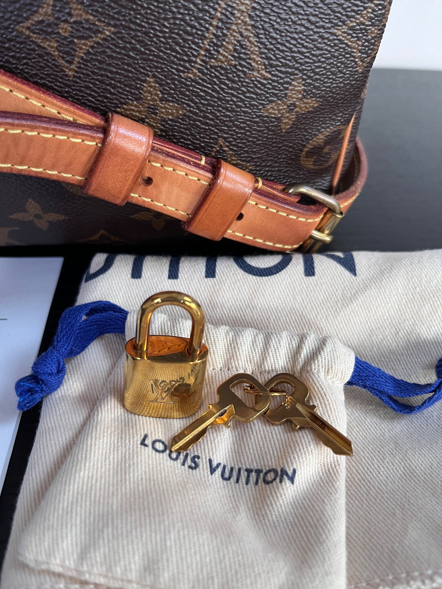 Louis Vuitton Speedy Bandoulière 25 Monogram Microchipped