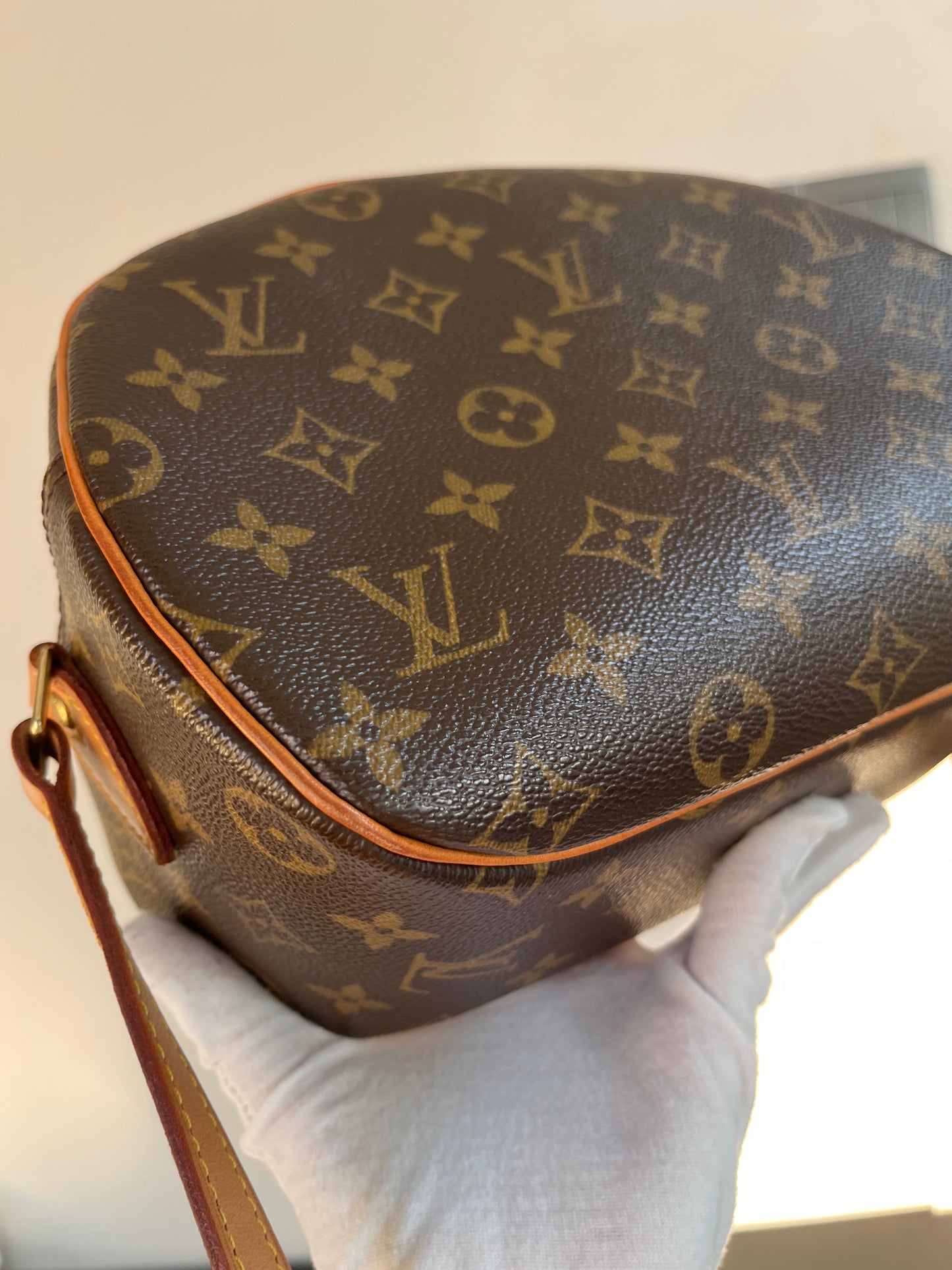 Louis Vuitton Vintage Blois Monogram Crossbody Bag