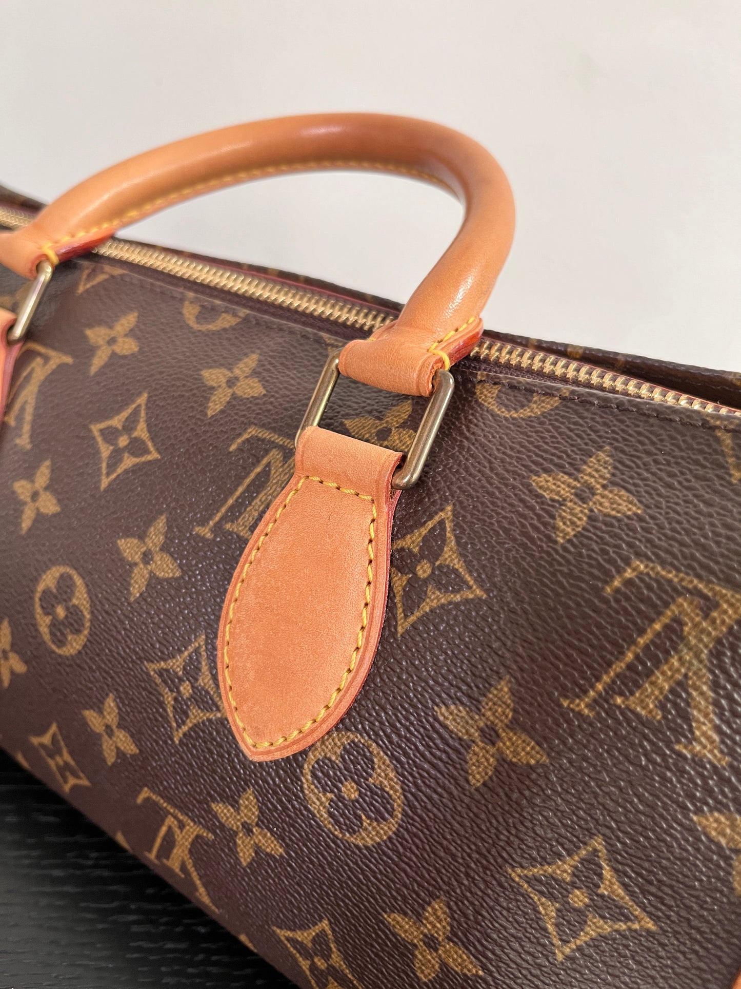 Louis Vuitton Popincourt Monogram Top Handle Bag