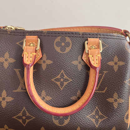 Louis Vuitton 2020 Nano Speedy Monogram Crossbody Bag