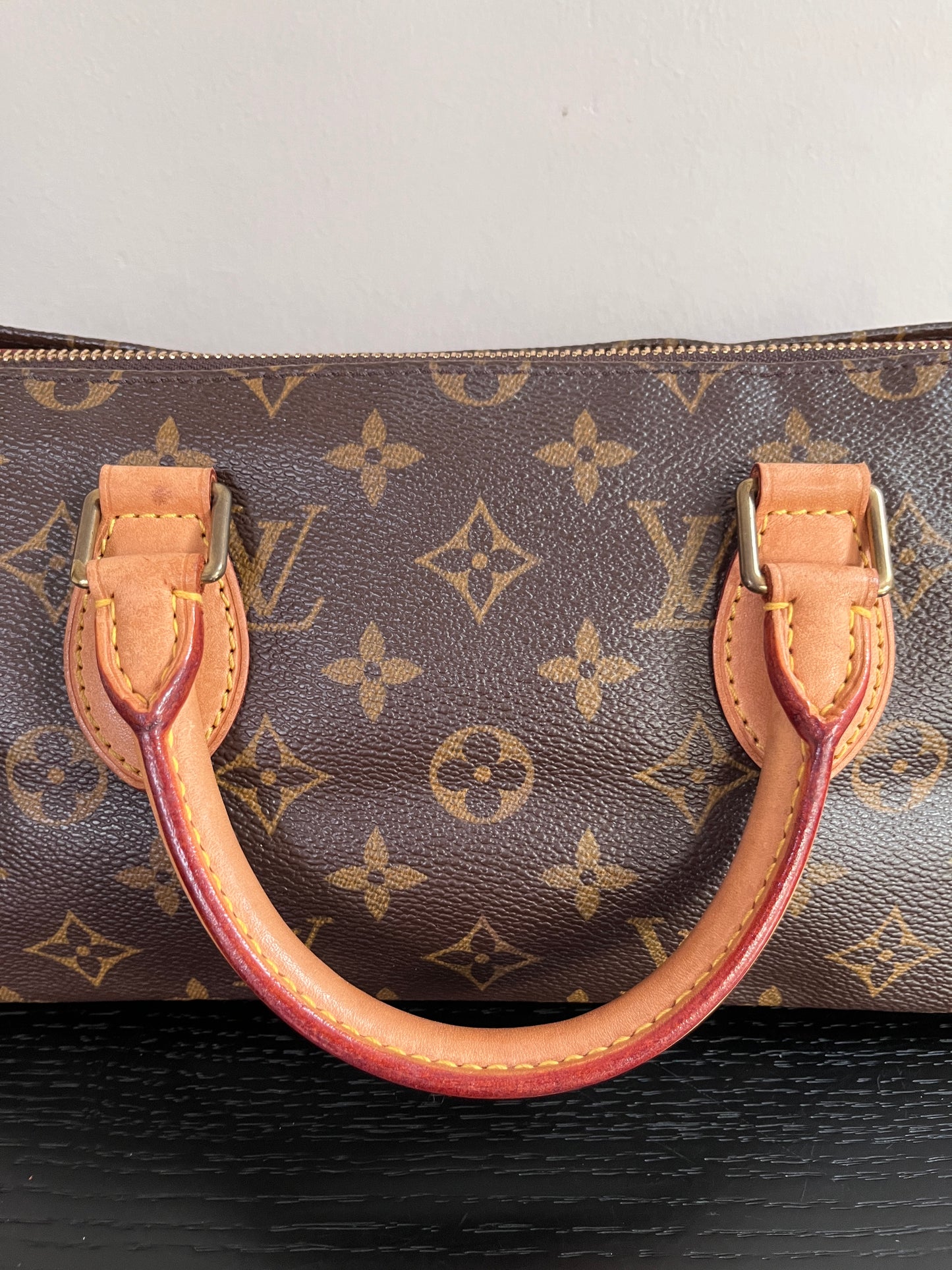 Louis Vuitton Popincourt Monogram Top Handle Bag