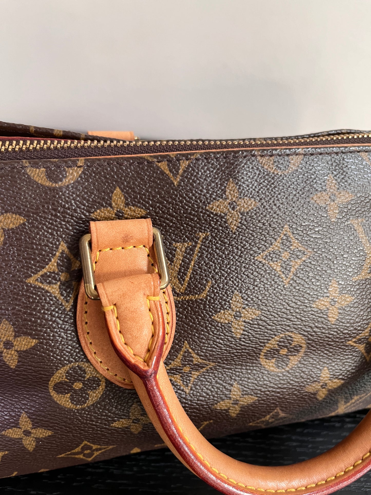 Louis Vuitton Popincourt Monogram Top Handle Bag