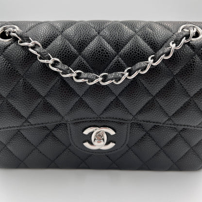 Chanel Classic Double Flap Caviar Small