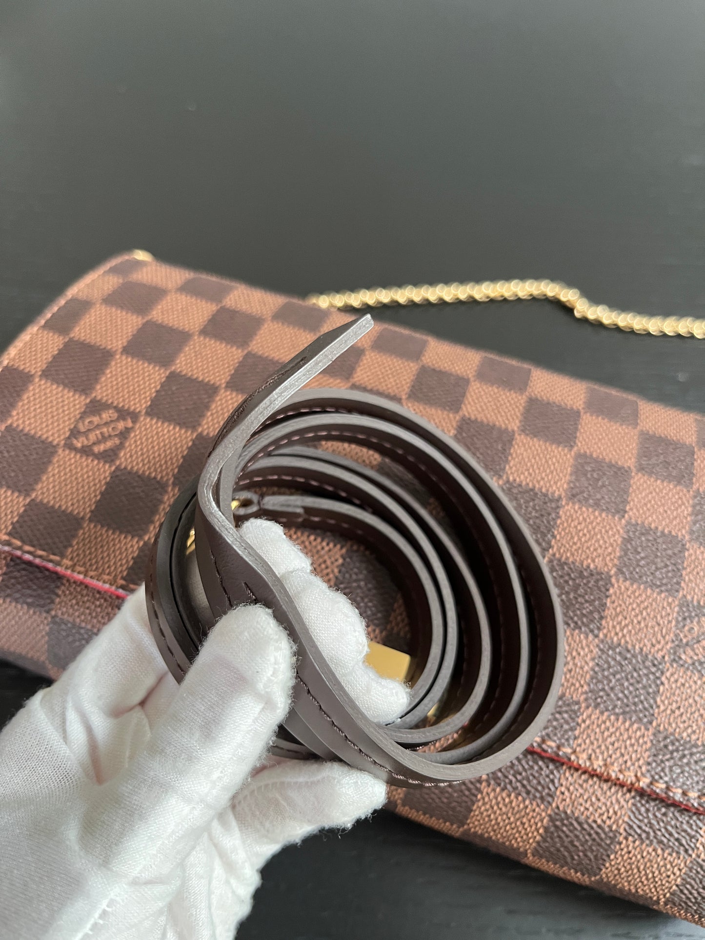 Louis Vuitton Favorite MM Damier Ebène