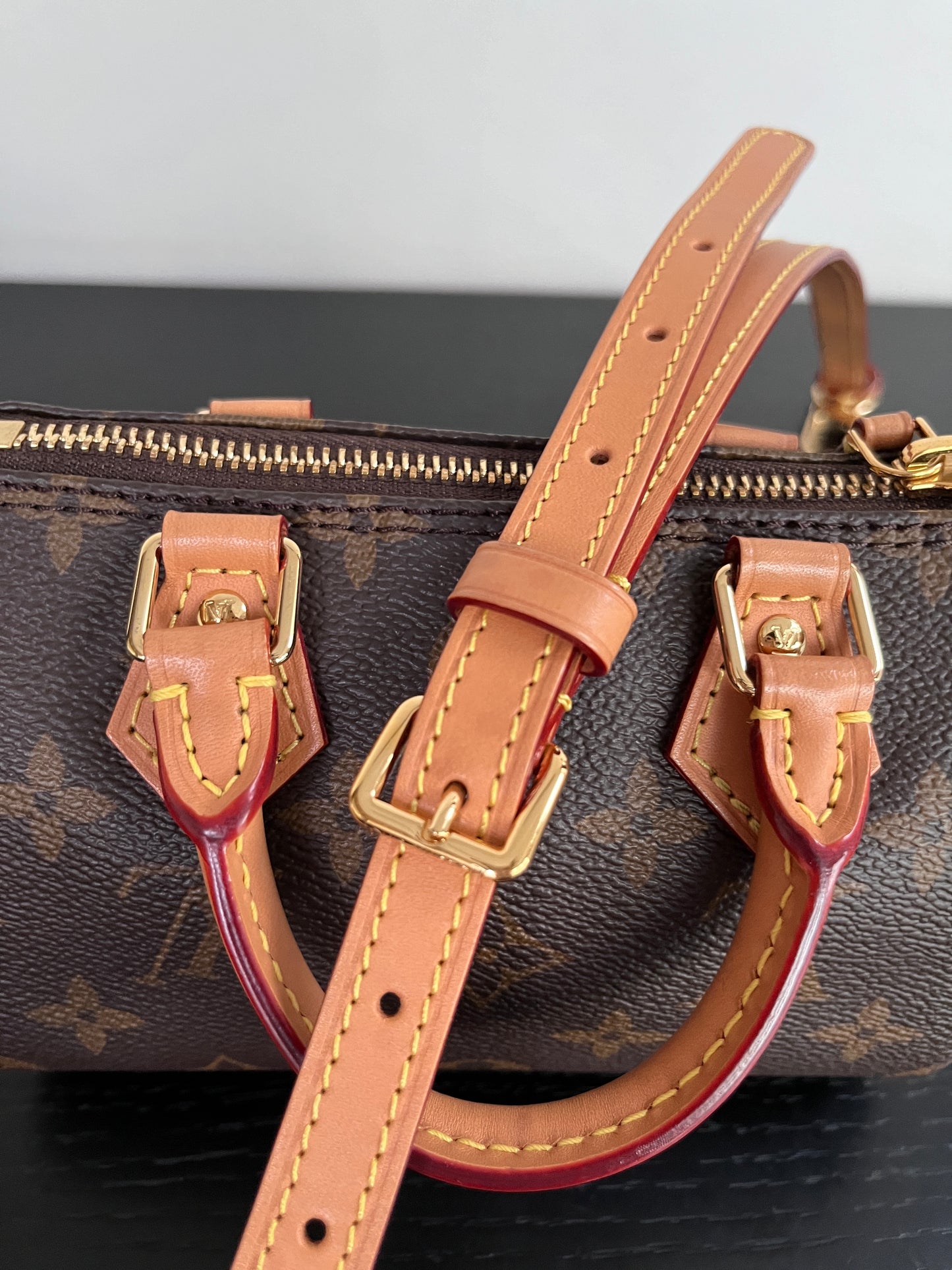 Louis Vuitton 2022 Nano Speedy Monogram