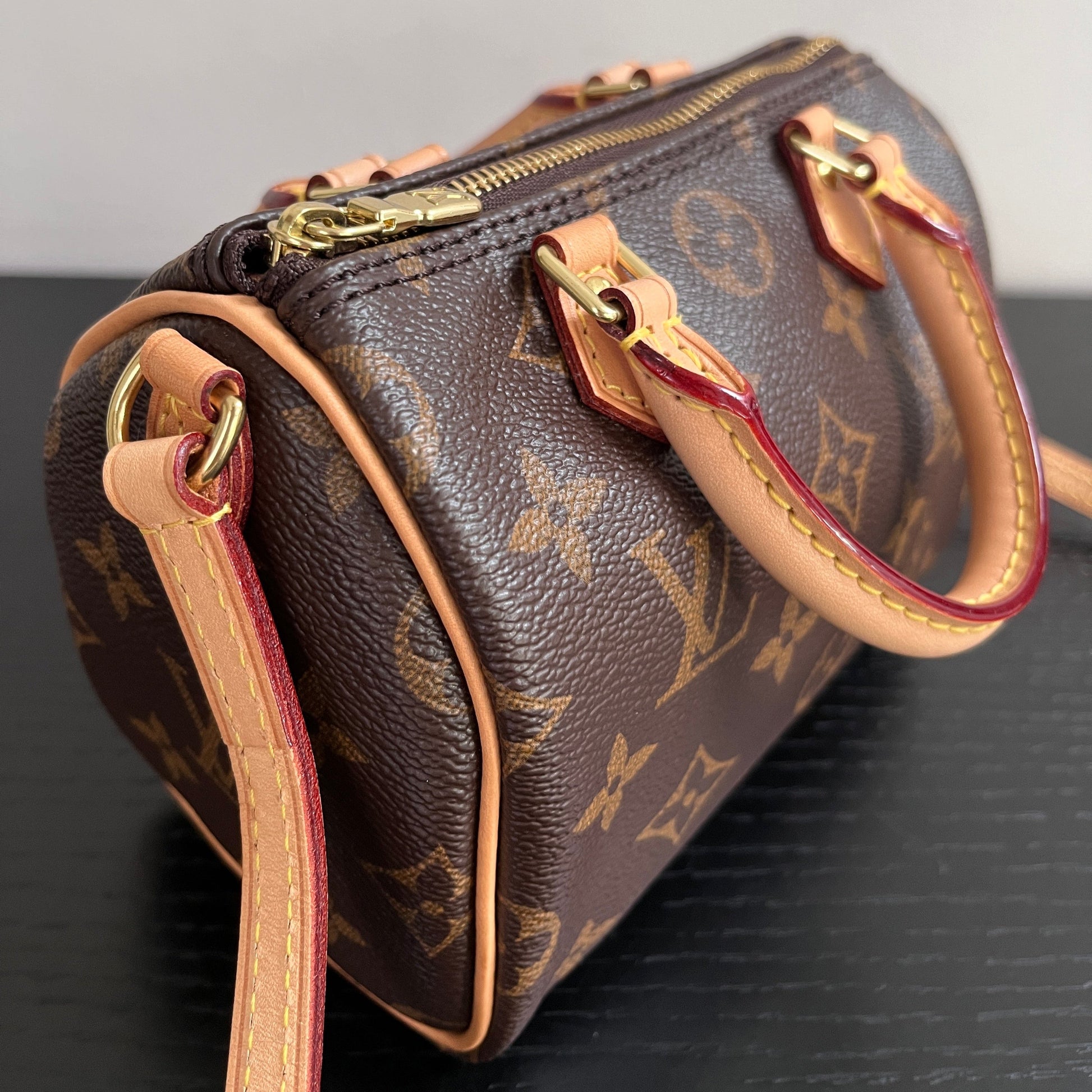 Louis Vuitton Monogram Speedy Nano