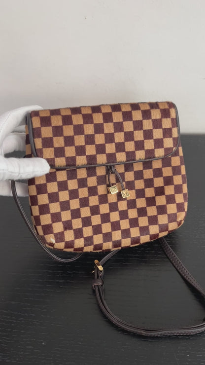 Louis Vuitton Vintage Damier Sauvage Gazelle Waist Bag